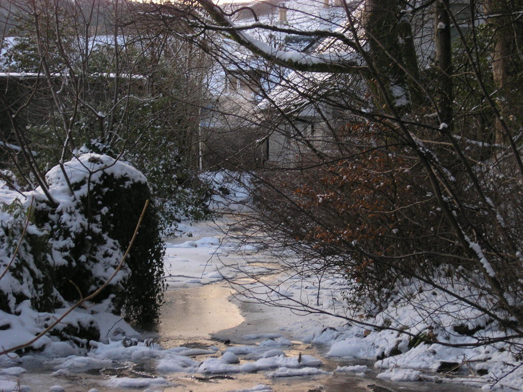 Whistlers Dell B&B Rhu Eksteriør billede